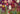 Puzzle «Jardin» - 500 pièces